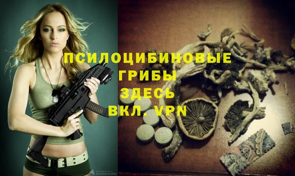 мескалин Пролетарск