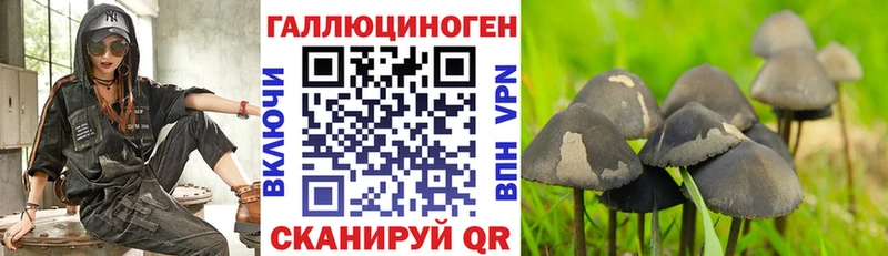 Галлюциногенные грибы мухоморы  купить наркотик  Новомичуринск 